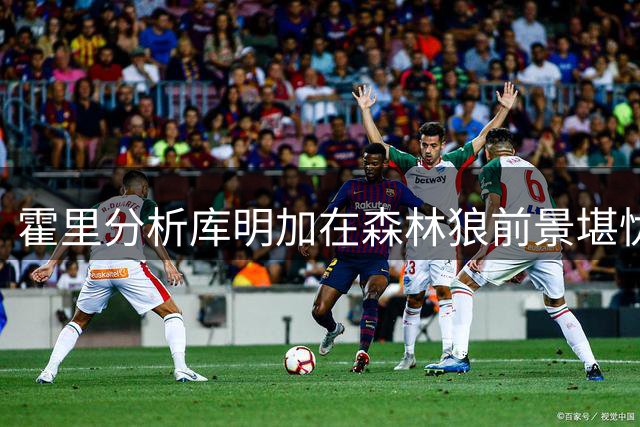 霍里分析库明加在森林狼前景堪忧